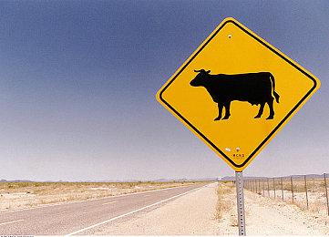 《宝可梦传说：阿尔宙斯》1.1.1版更新 修复闪符BUG